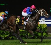 Ato<br>Photo by Singapore Turf Club